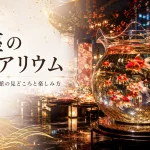銀座のアクアリウム｜金魚アート美術館の見どころと楽しみ方