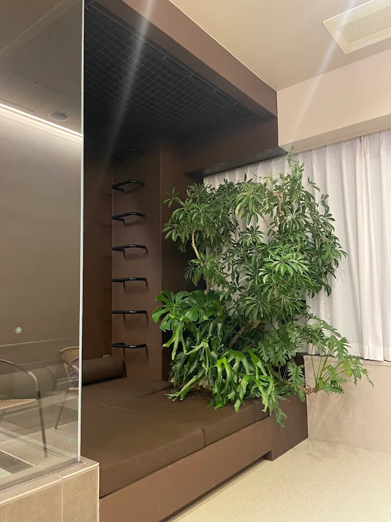 店内写真③