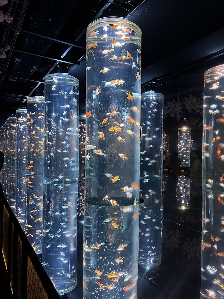 銀座 観光 第13位 アートアクアリウム美術館 銀座