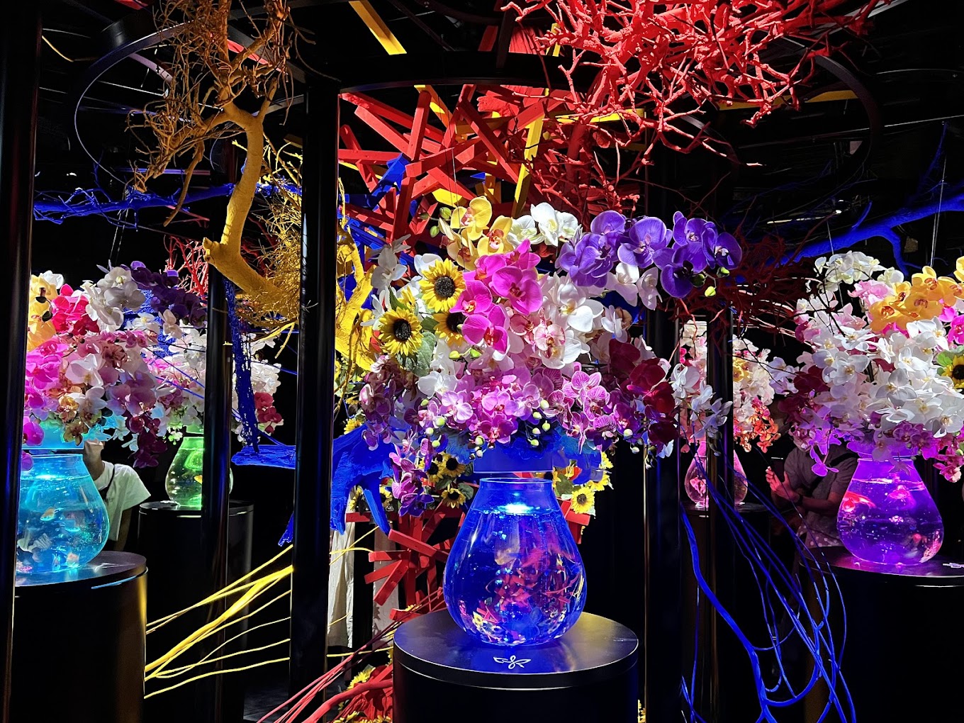 銀座 観光 第13位 アートアクアリウム美術館 銀座